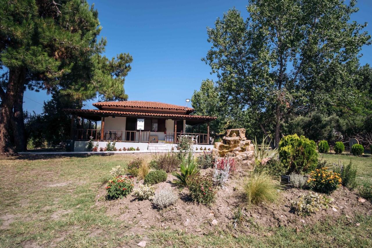 Santa Ana Studios Νέα Σκιώνη Εξωτερικό φωτογραφία