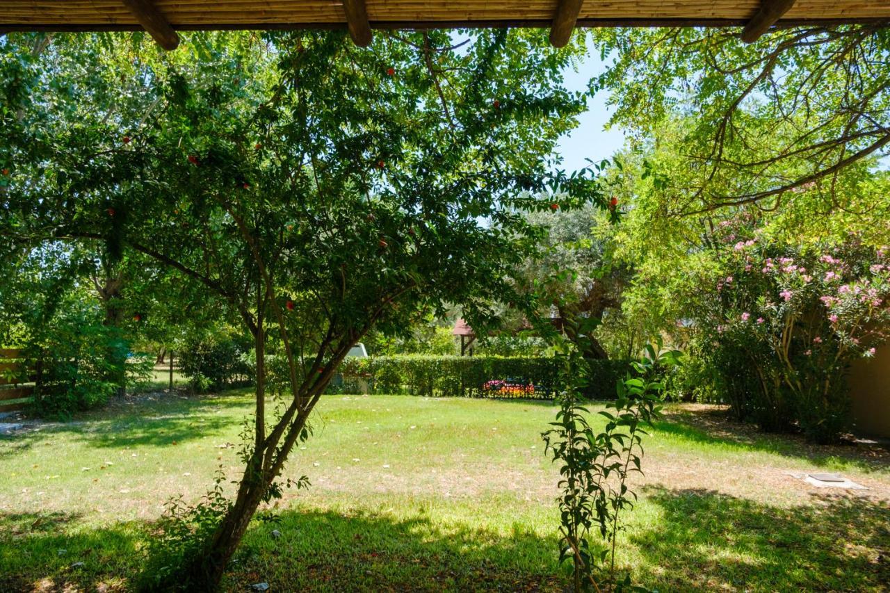 Santa Ana Studios Νέα Σκιώνη Εξωτερικό φωτογραφία