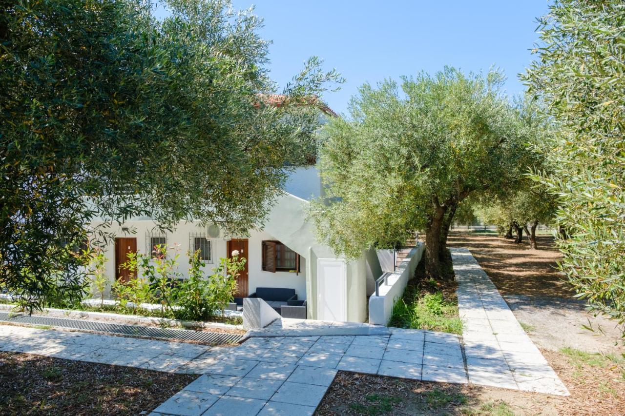 Santa Ana Studios Νέα Σκιώνη Εξωτερικό φωτογραφία